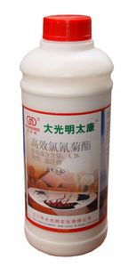 清遠堅文白蟻防治 一次滅絕，永無后患的專業守護